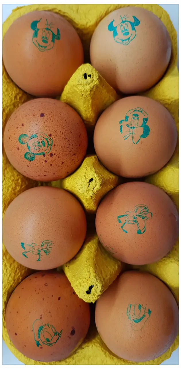 Disney eggs