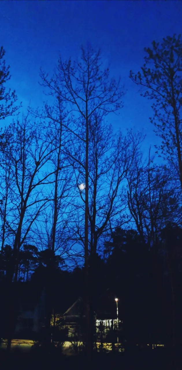 Blue Moon Sky