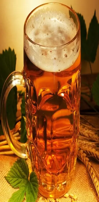 Beer In The Glass