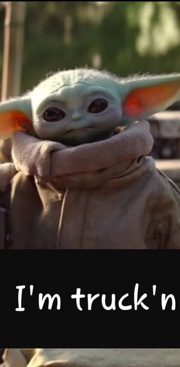 Baby Yoda in a Truck