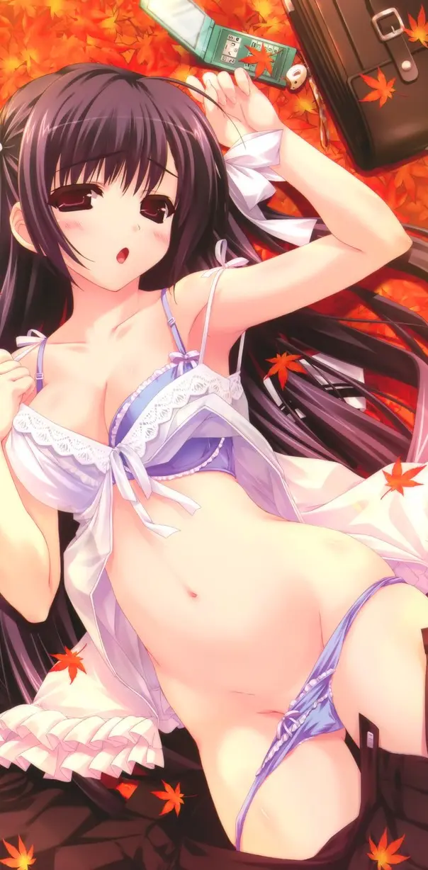 Ecchi Lingerie wallpaper by Ivan 3 Download on ZEDGE 5955