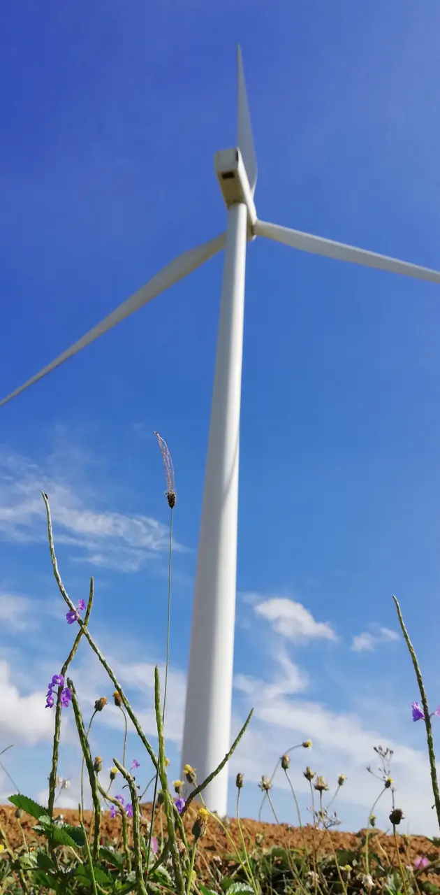 Guimaras windmills
