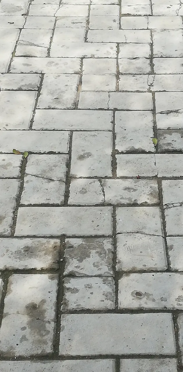 Bricked cracked floor