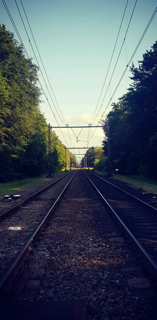Rail Shadow