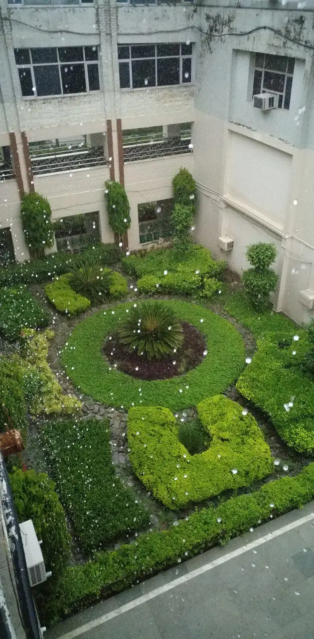 Rainy Garden