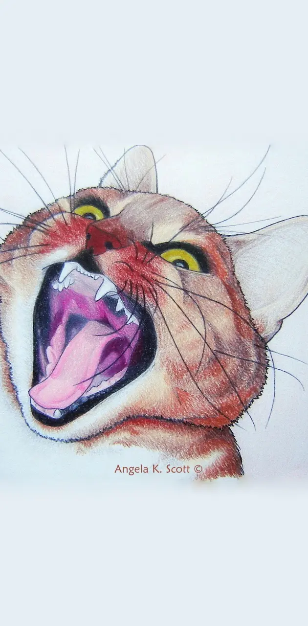 Cat Meow-Ahh Art