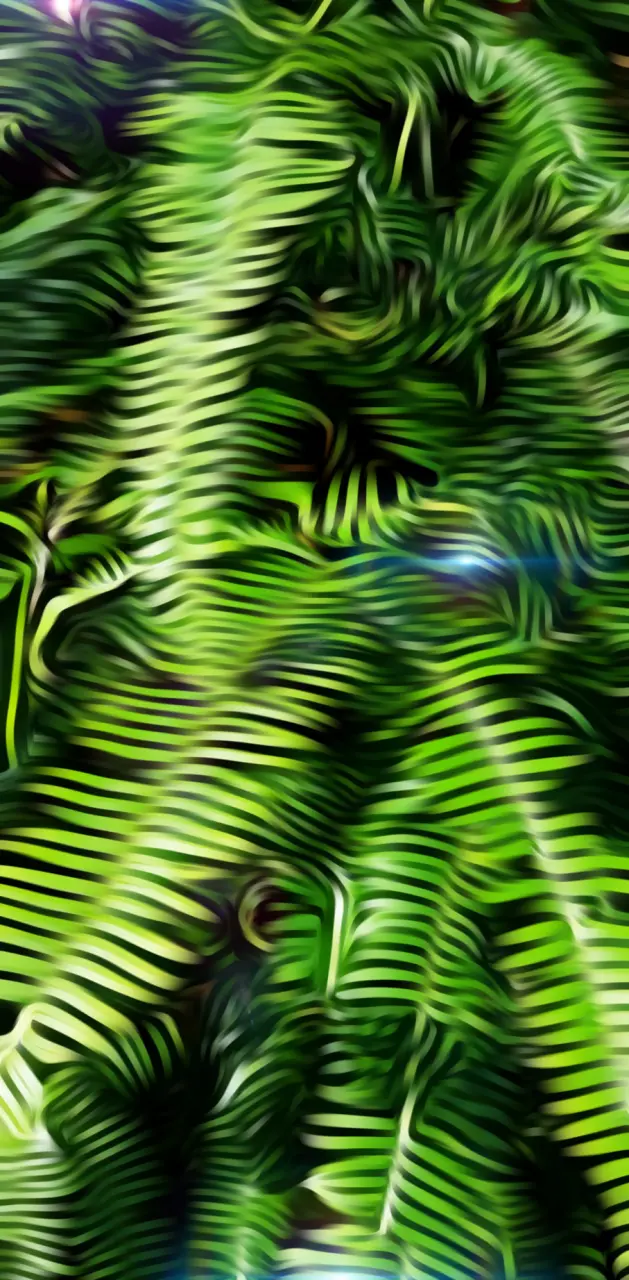 Green fern 