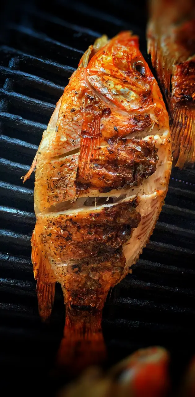 Fish Grilled