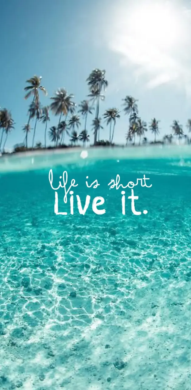 Life Is Short Live