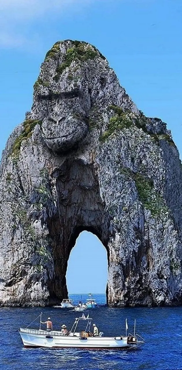 Gorilla stone