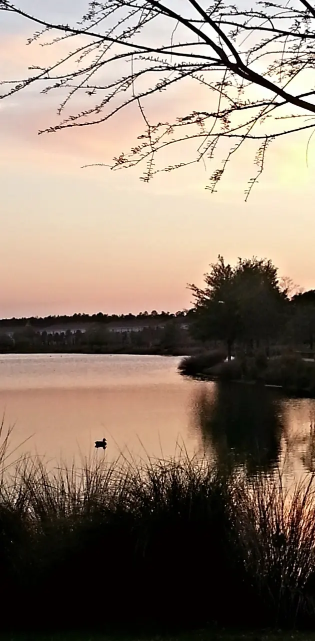 Sunset by the Lake