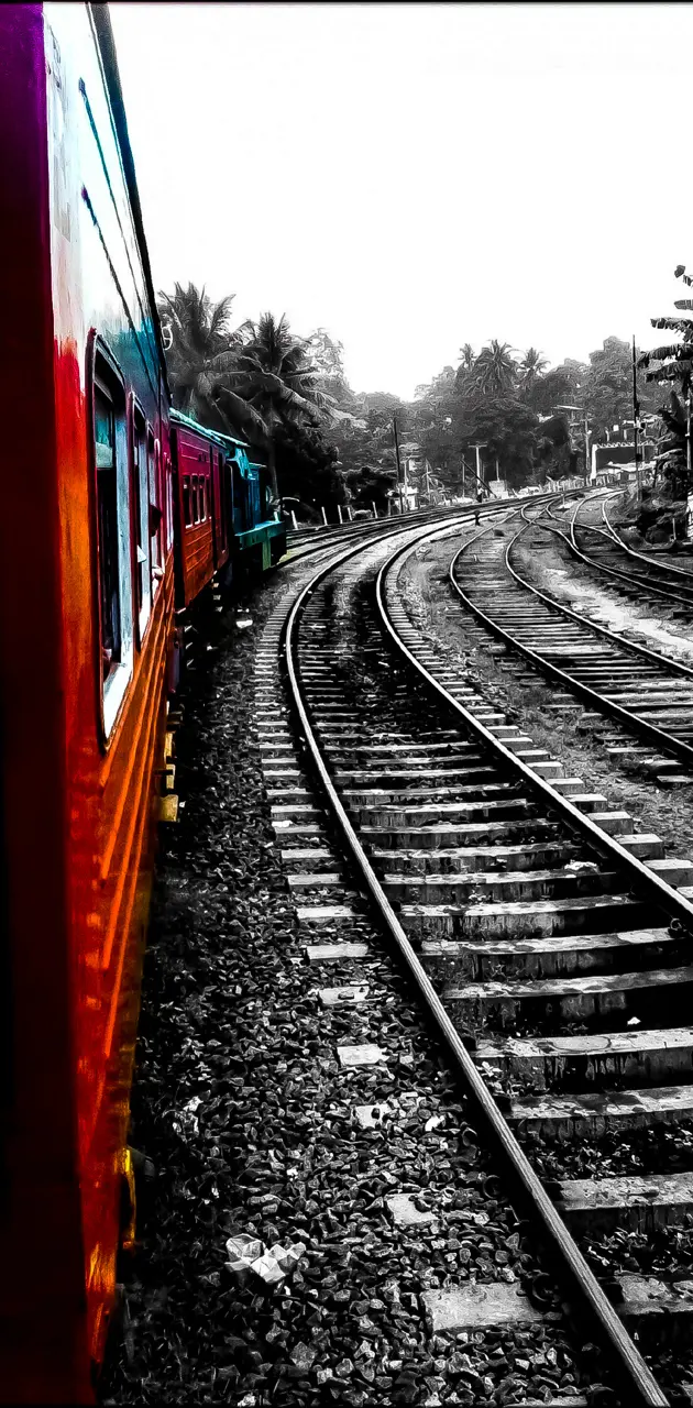 Train In Sri Lanka