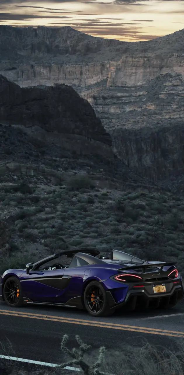 Purple 600LT