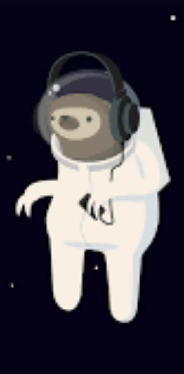 Sloth in space