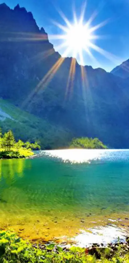 3d Awesome Nature Hd