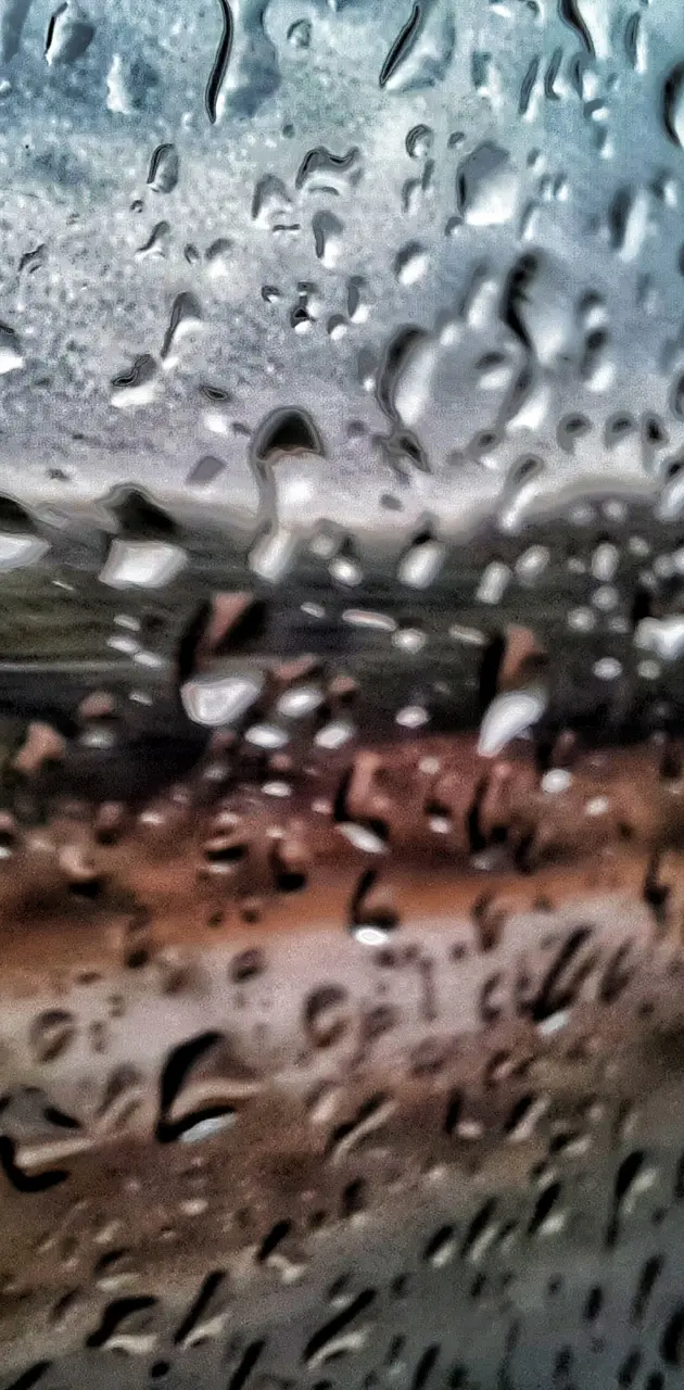 Rainy Mirror
