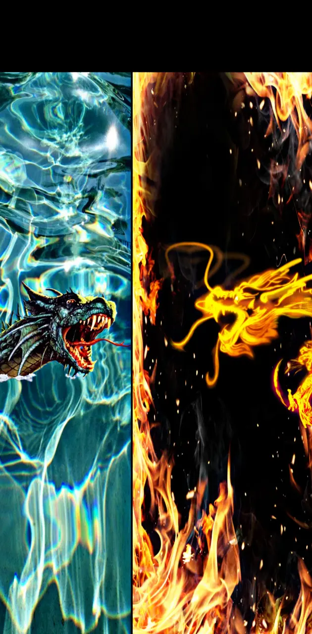 Dragon eau et de feux 