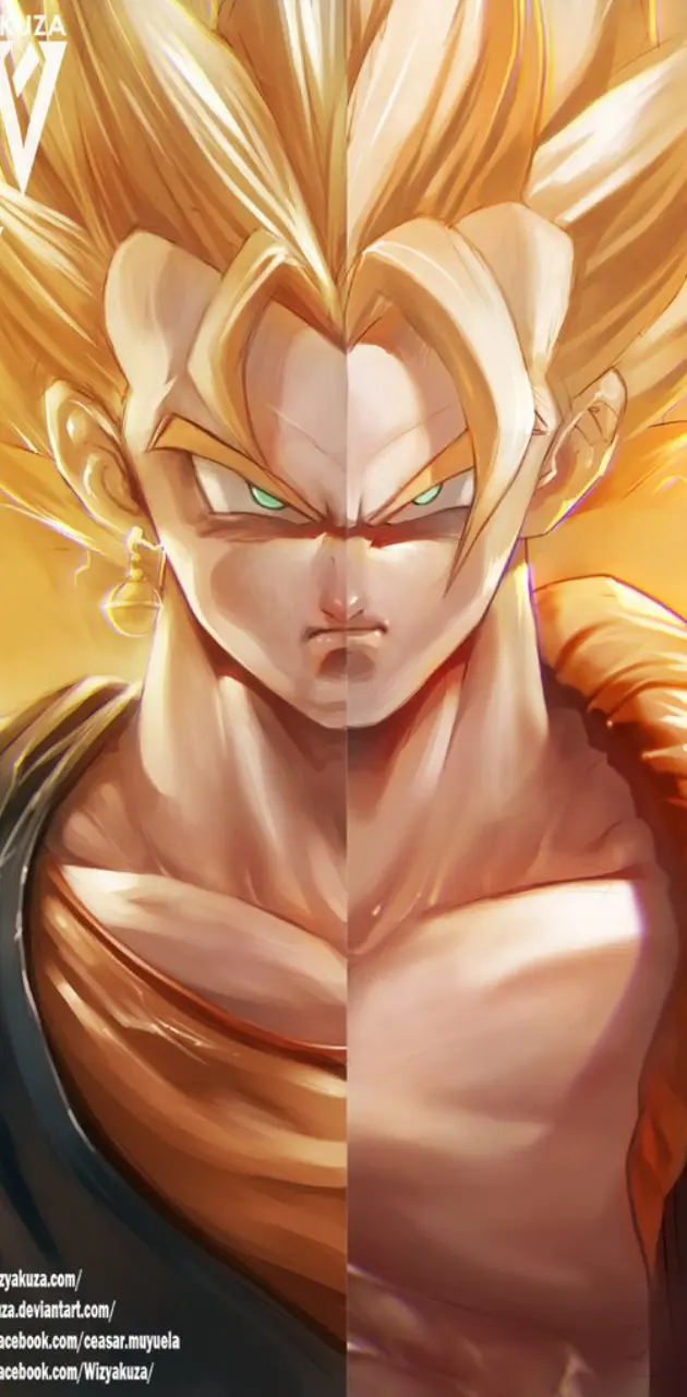 What I want to see in Dragon Ball Super. BY: Wizyakuza : r/dbz