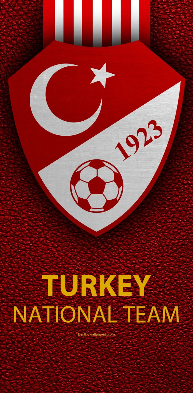 Turkey Football