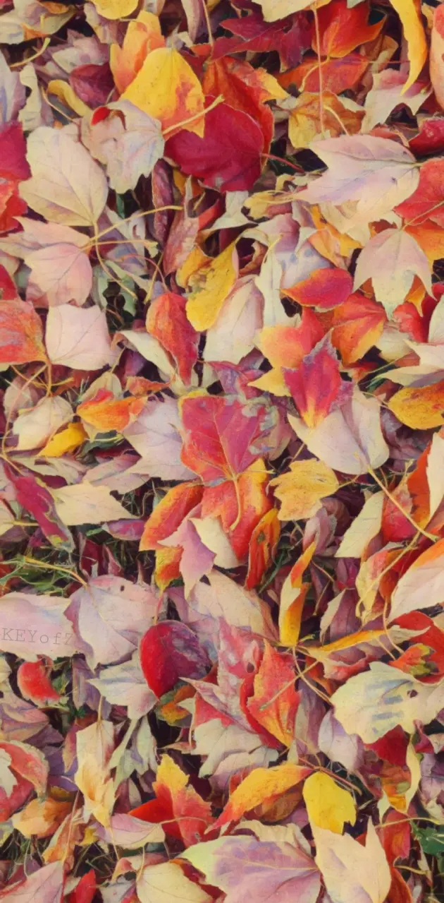 The Leaves of Fall BG 