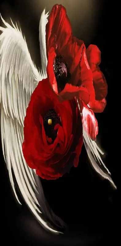 Red Angel Flower
