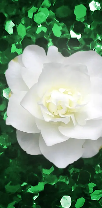 Green White Flower