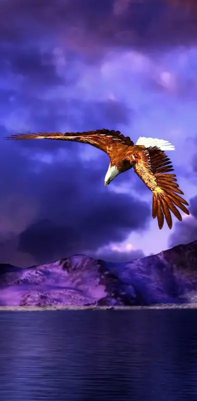 Eagle-flying