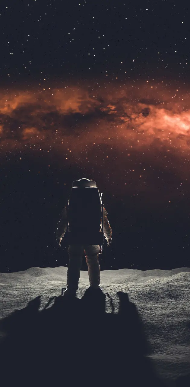 Astronaut looking out