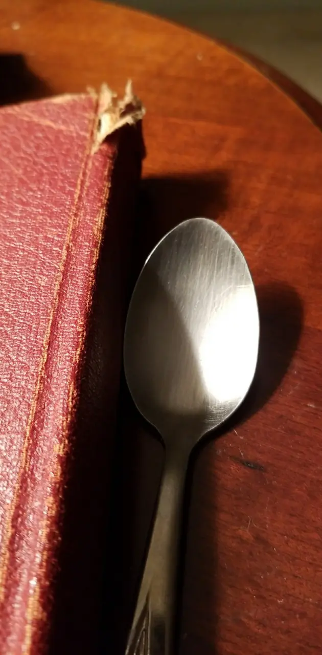 Book Spoon