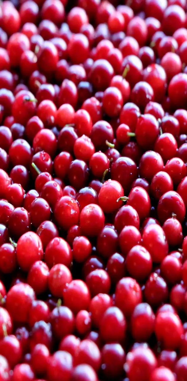malina berry