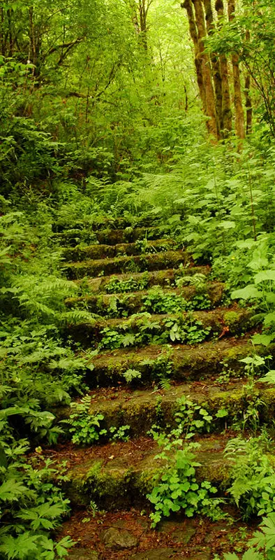 Stairway To Green