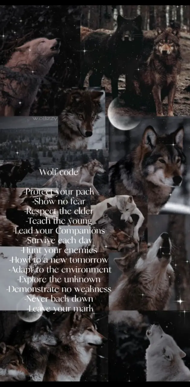 The  Wolf code