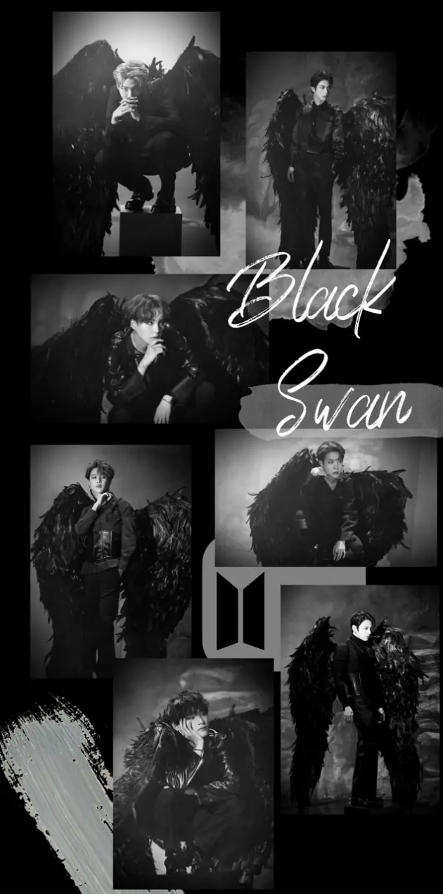 black swan wallpaper