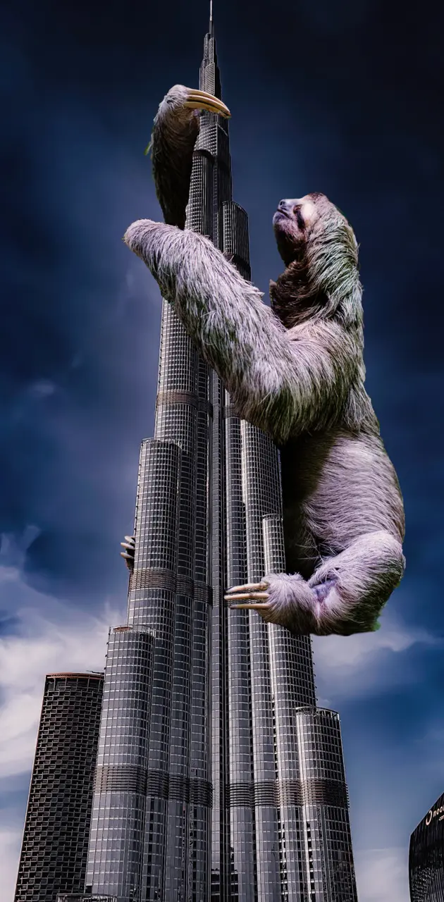 Sloth on Building
