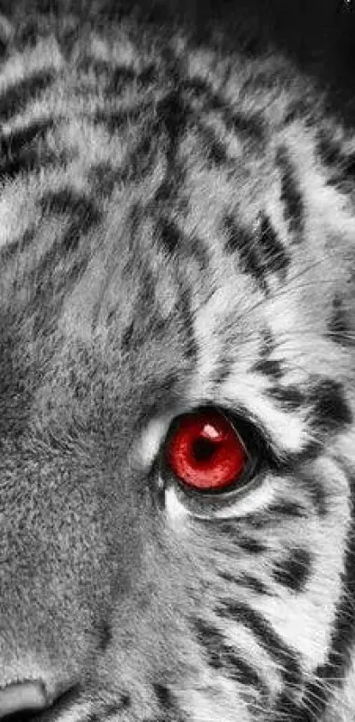 Tiger cub red eyes