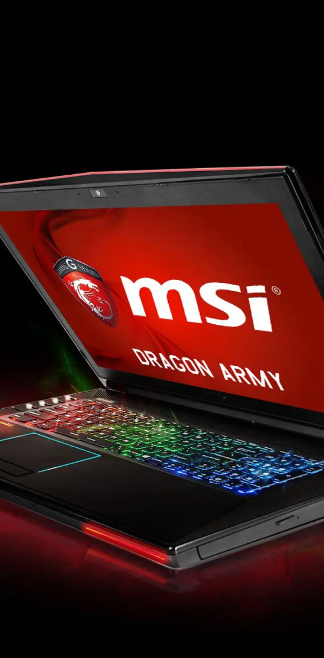 MSI Laptop Computer