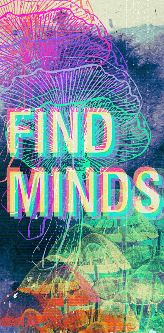 find minds 2