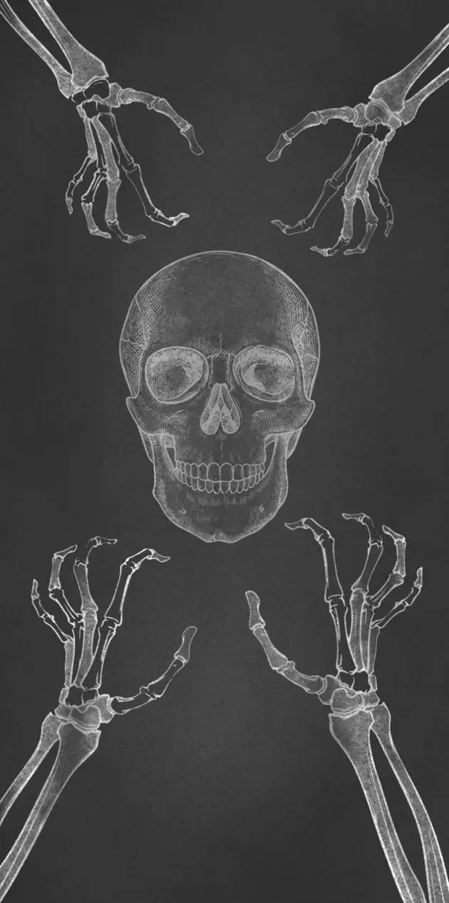 Skeleton Skull