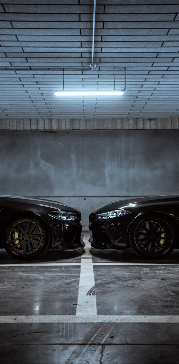 M5 and M8Competition