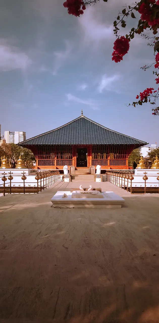 Buddhist Temple in Asia