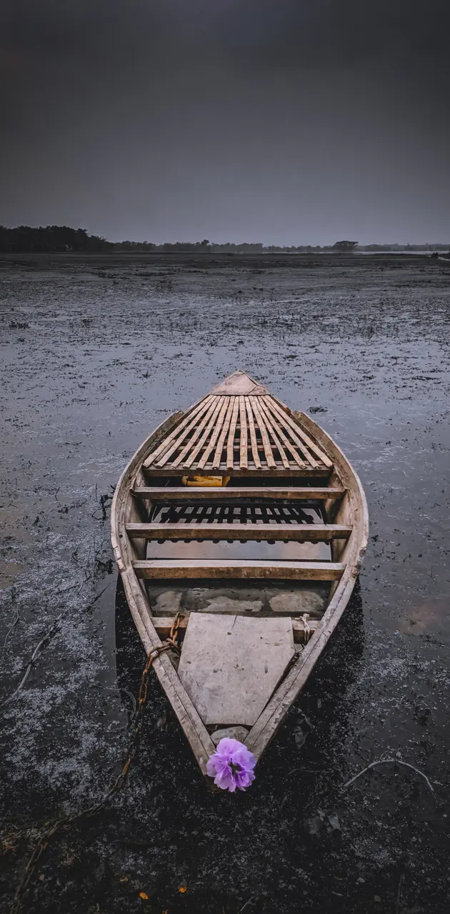 Boat of Bengal 