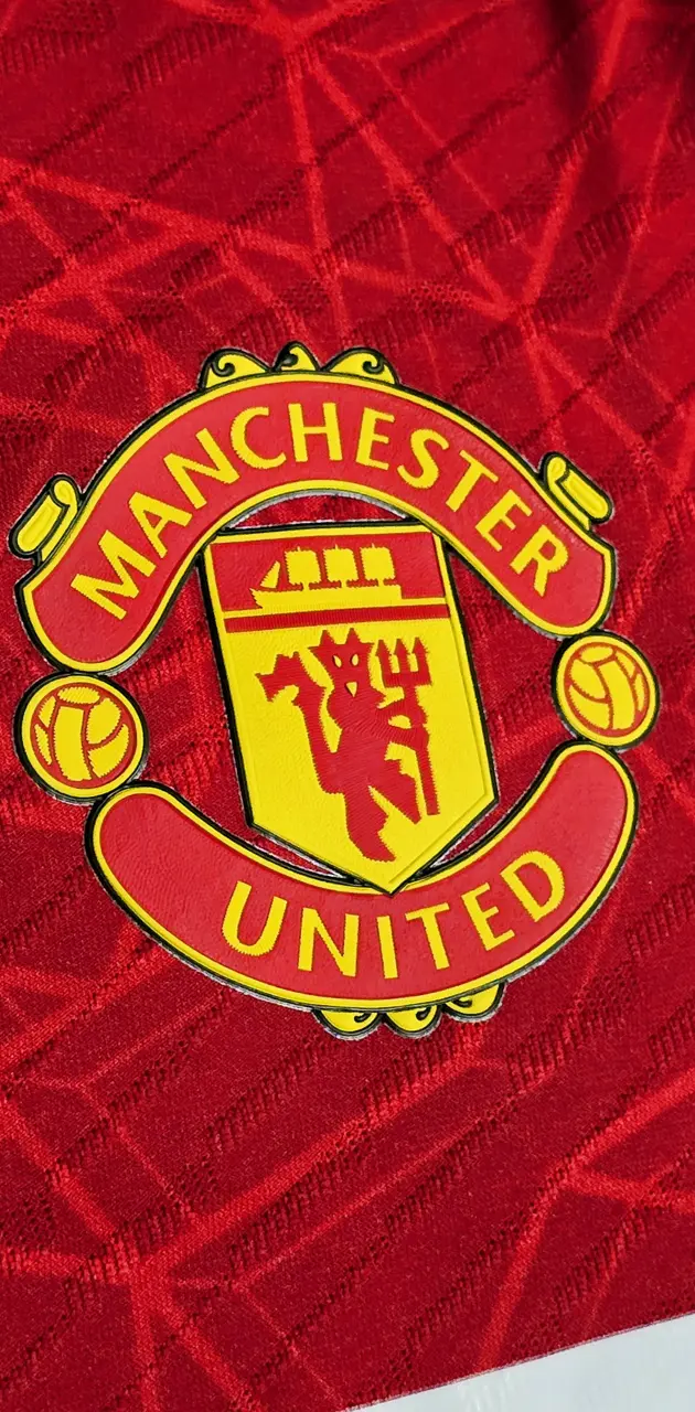 Manchester united badge