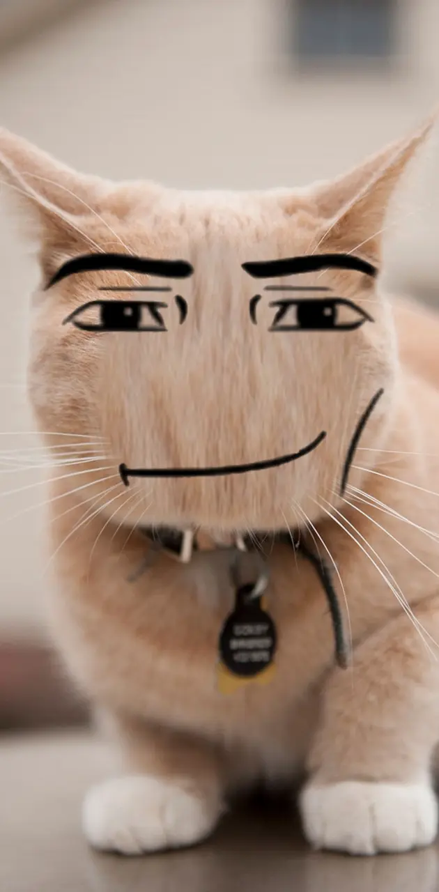 Roblox Manly Cat
