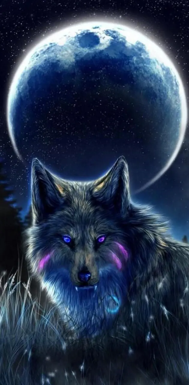 Full moon wolfe