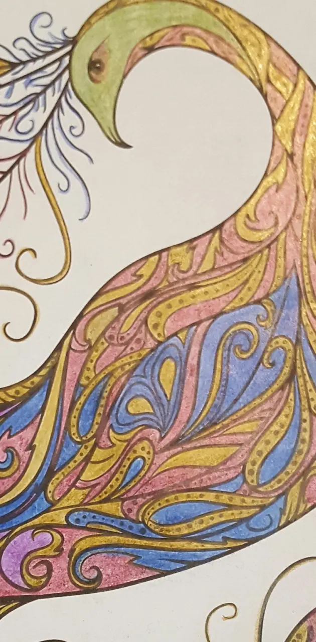 pheasant wallpaper by LaurenKummet - Download on ZEDGE™ | 654e