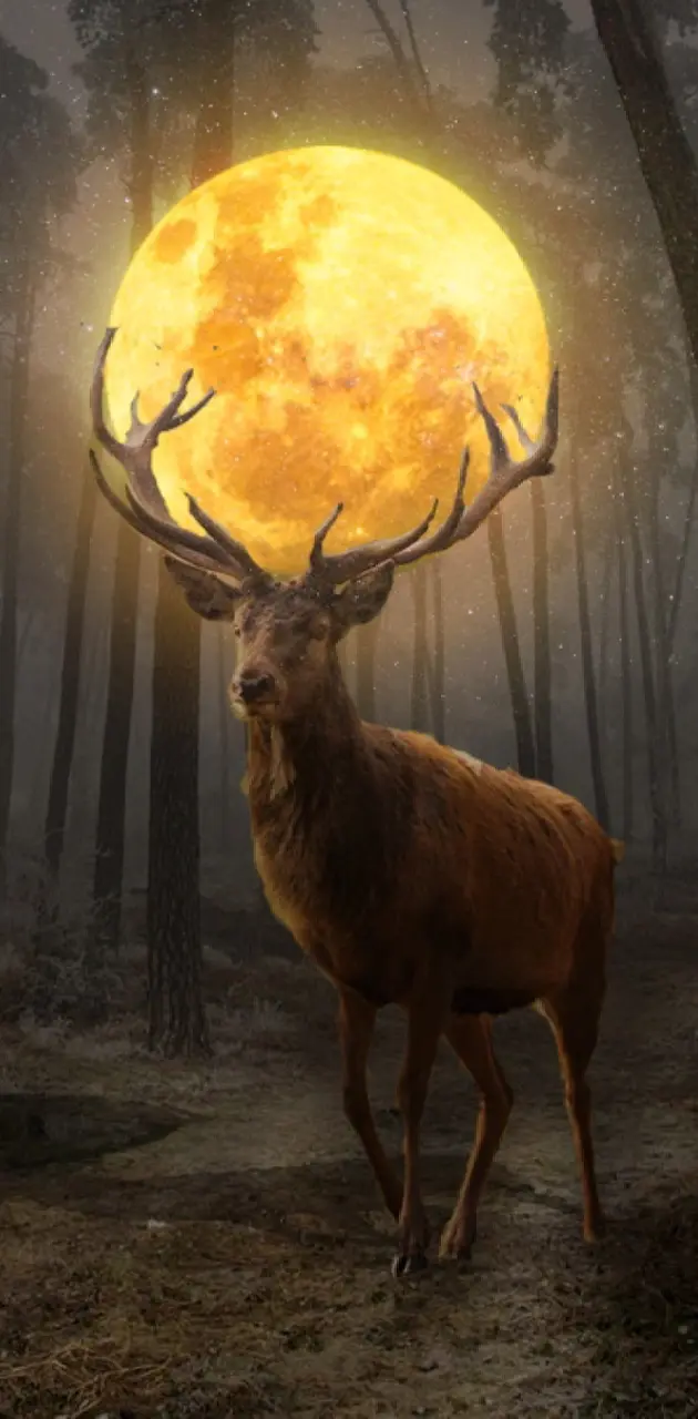 The sun Deer