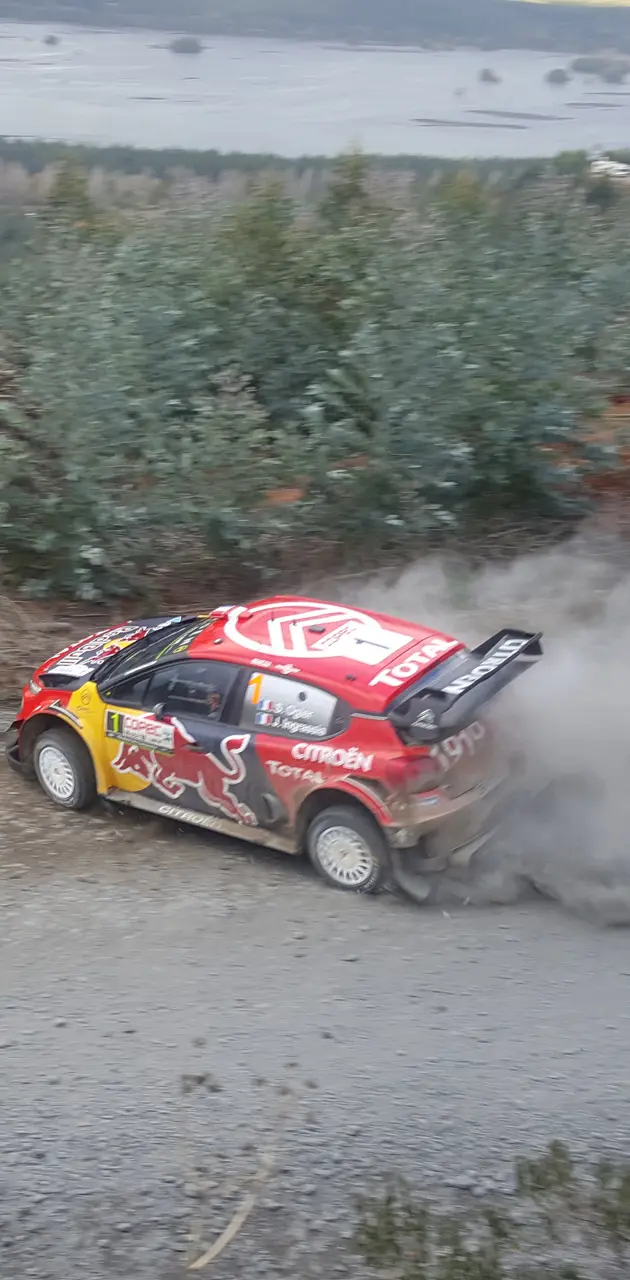 WRC chile 2019