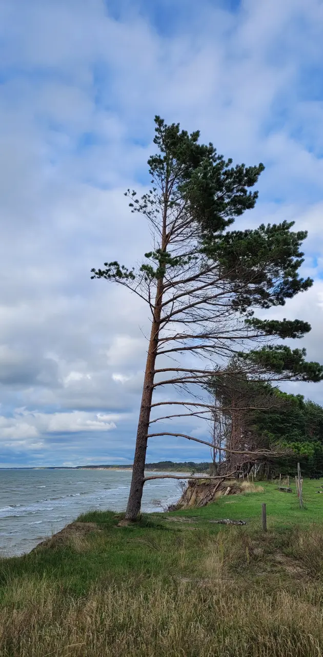Baltic Sea, Latvia,