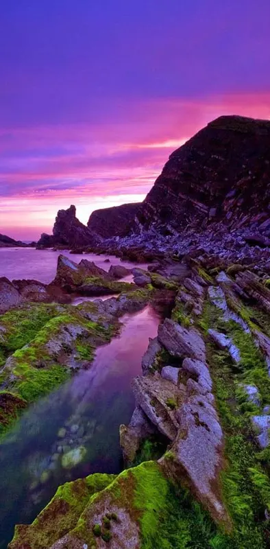 Purple sunset coast