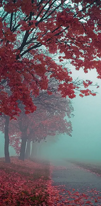 Autumn Mist